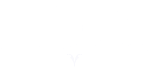 south florida mohel logo