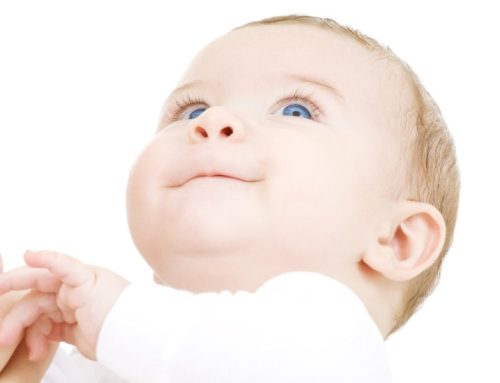 Finding the Best Mohel in North Dade